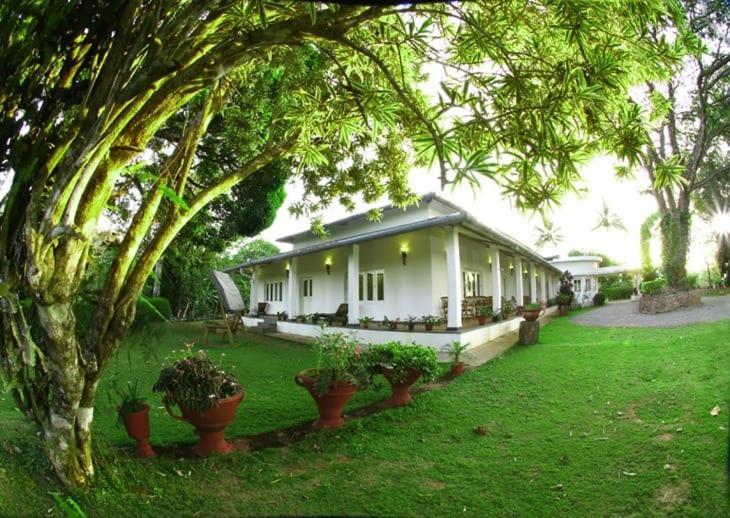ホテル Parisons Plantation Experiences By Abad マナンタバディー エクステリア 写真